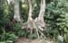 floride053