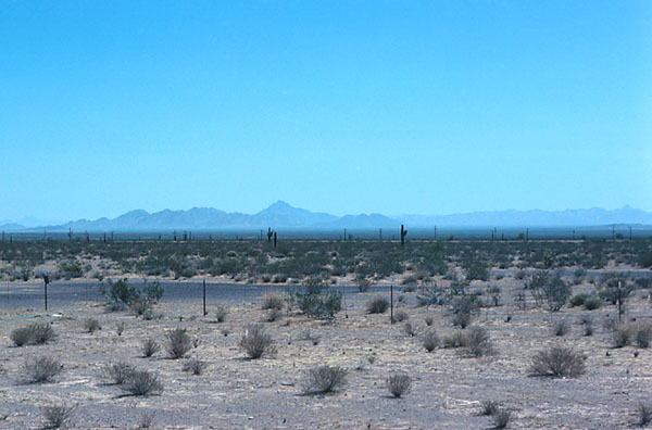 calif_030