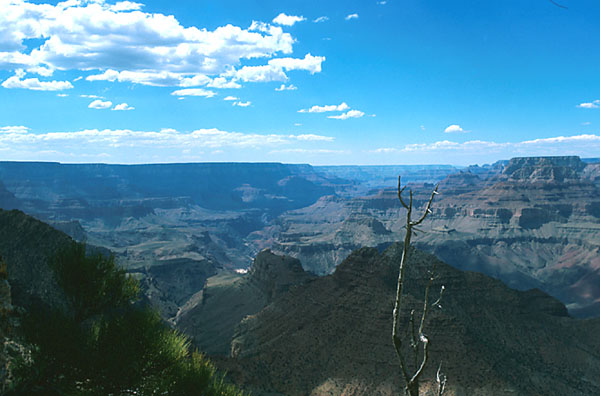 calif_054