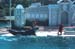 calif_024
