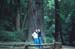 calif_165c