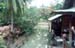 thai_055