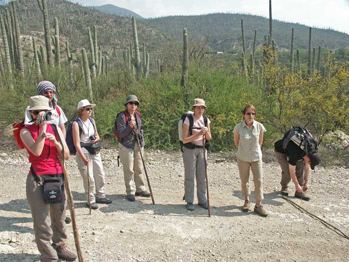 05_24_cactus03