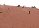 100925_Wadi-Rum-021