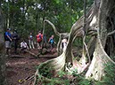 Circuit-Costa-Rica-043